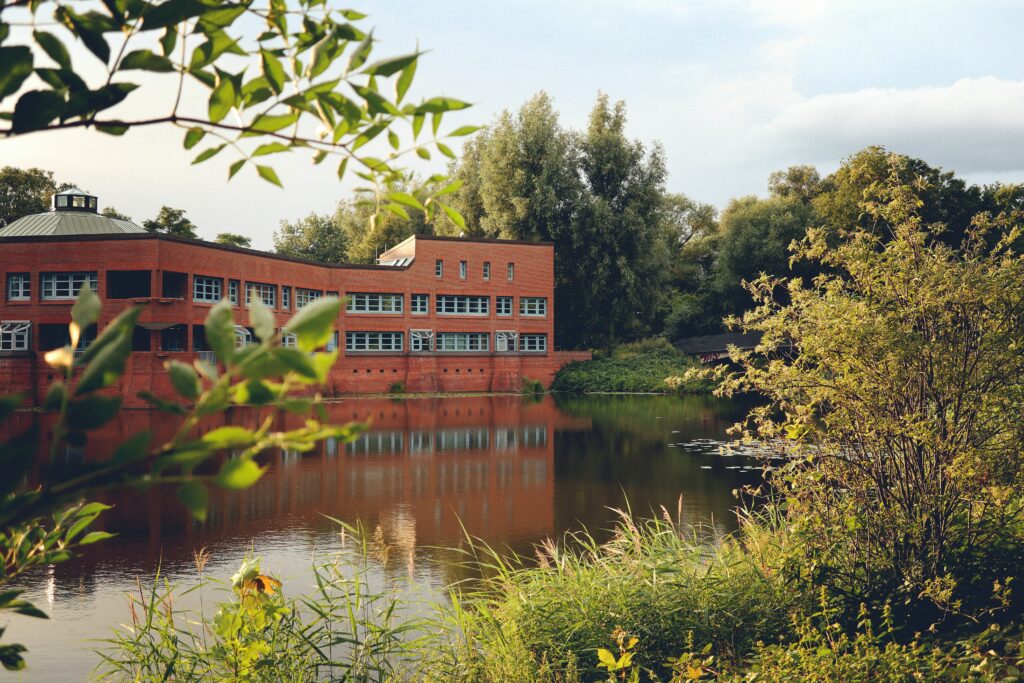 Pflanzen am Ufer eines Flusses und im Hintergrund ein Haus.